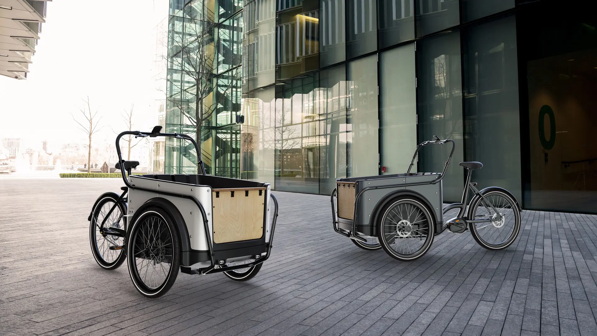 Meet our Royal Cargo Bike 3-wheel
