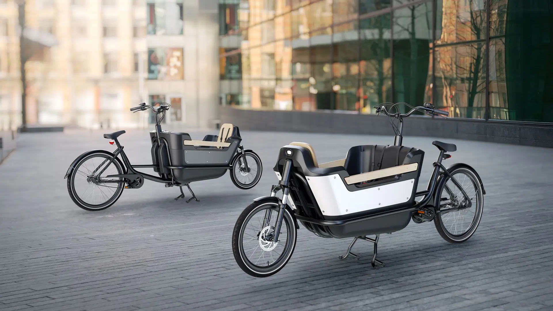 Meet our Royal Cargo Bike 2-wheel
